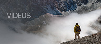 Stake(�й���)�ٷ���վ