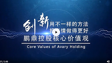 Stake(�й���)�ٷ���վ