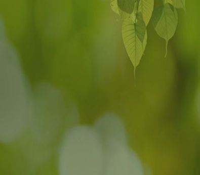 Stake(�й���)�ٷ���վ